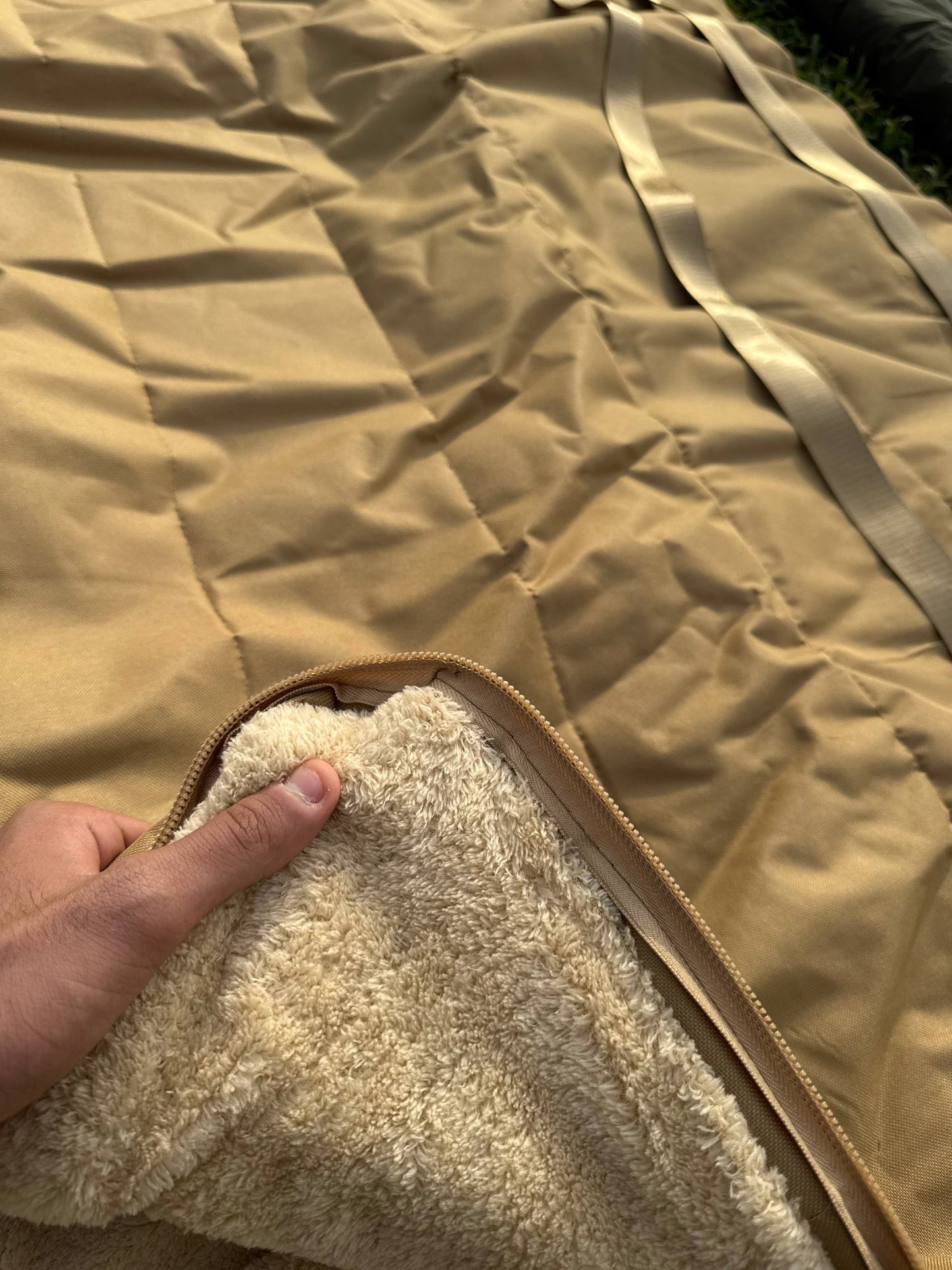 منامه شتله صحراوي