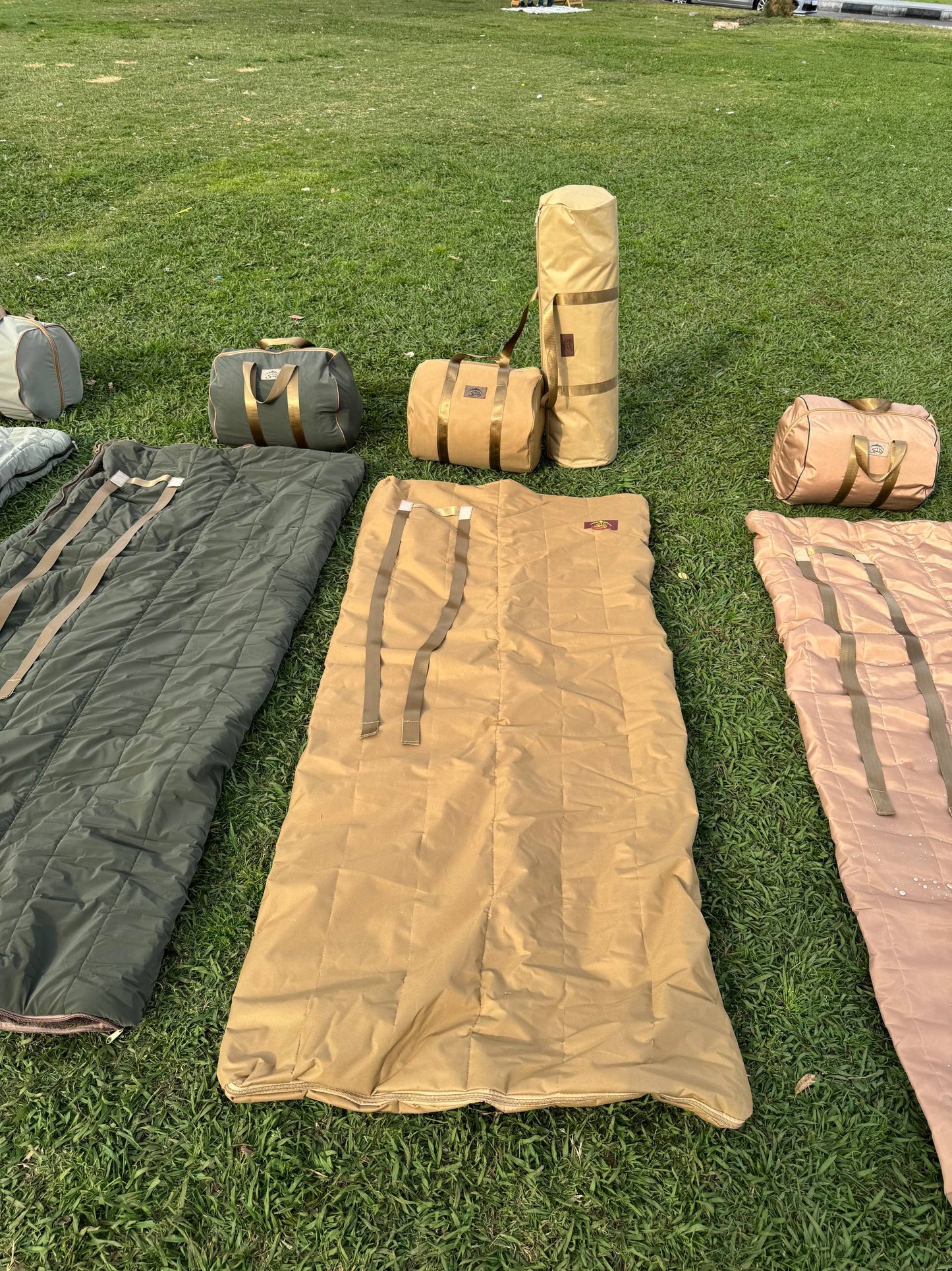 منامه شتله صحراوي