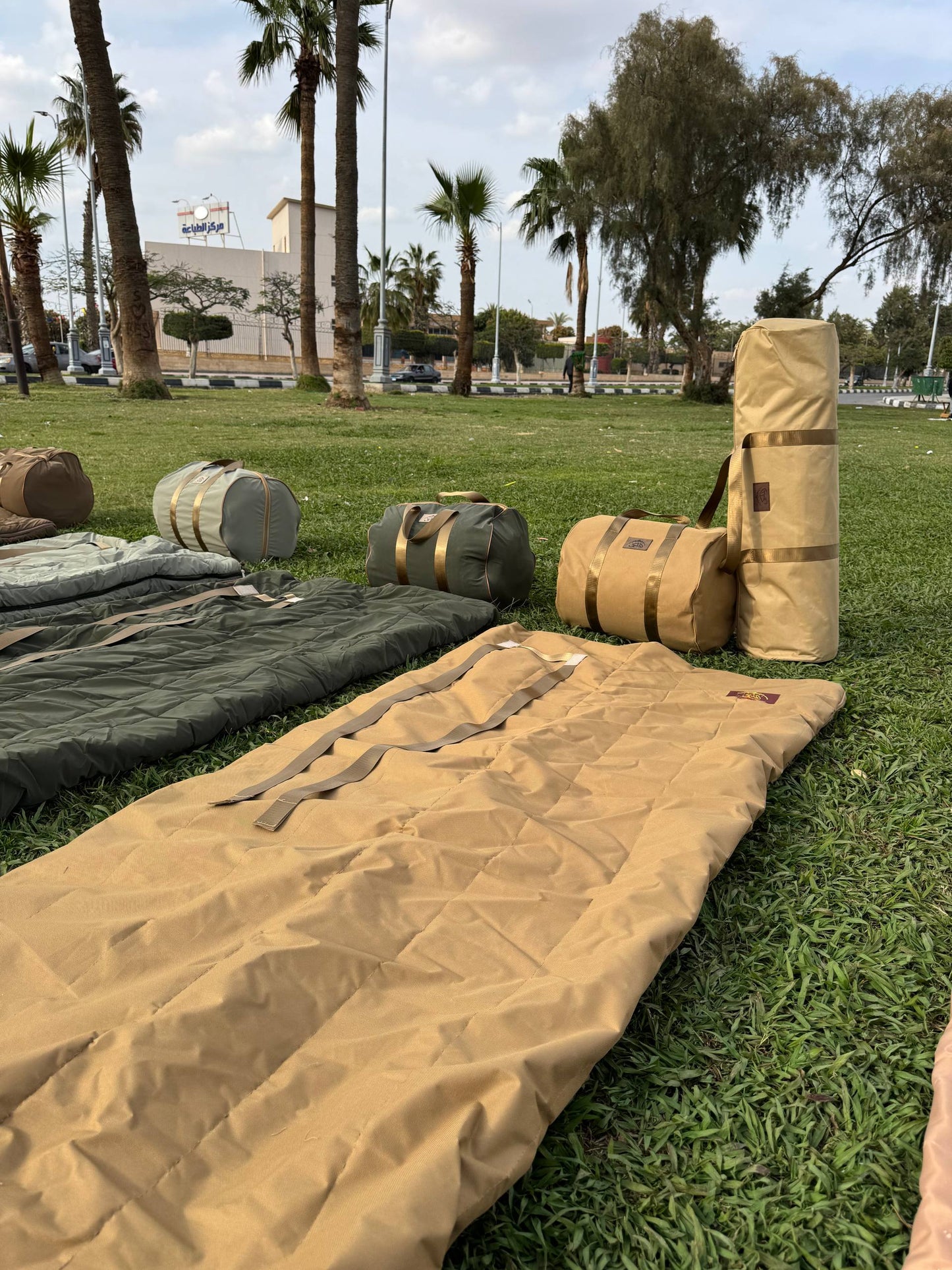 منامه شتله صحراوي